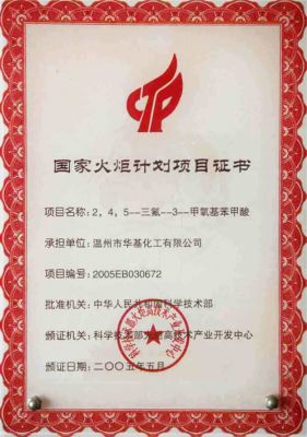 National Torch Program Project Certificate